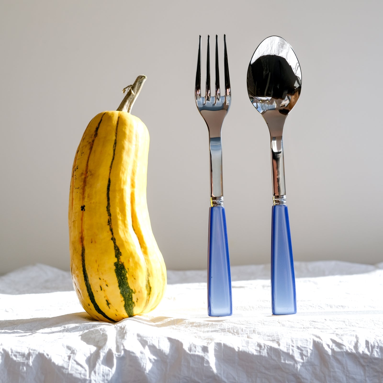 Icône, Bleu clair - Couverts de service