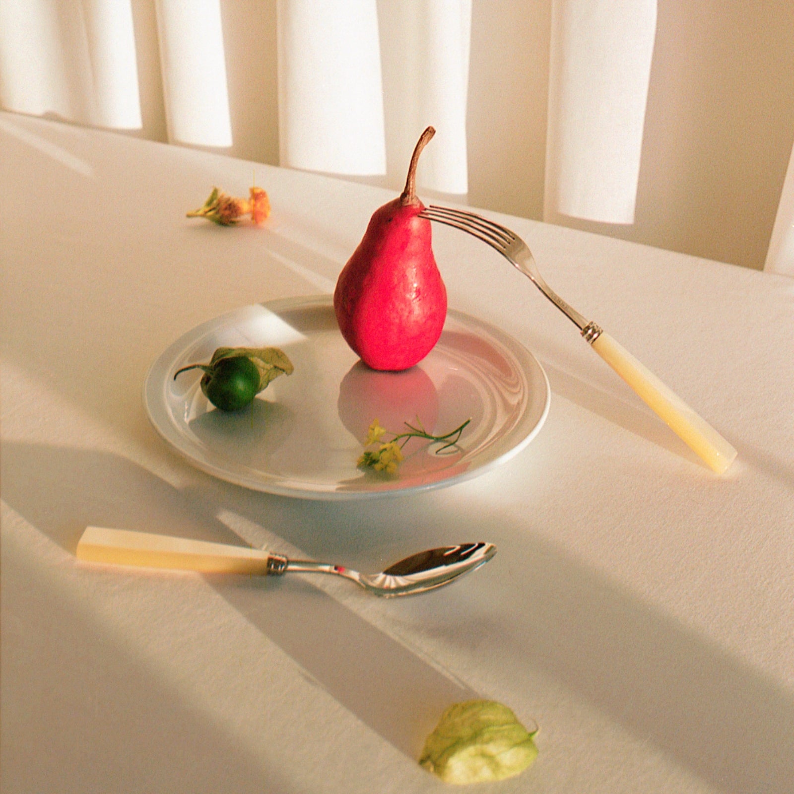 Icône, Nacre - Ménagère 48 pièces