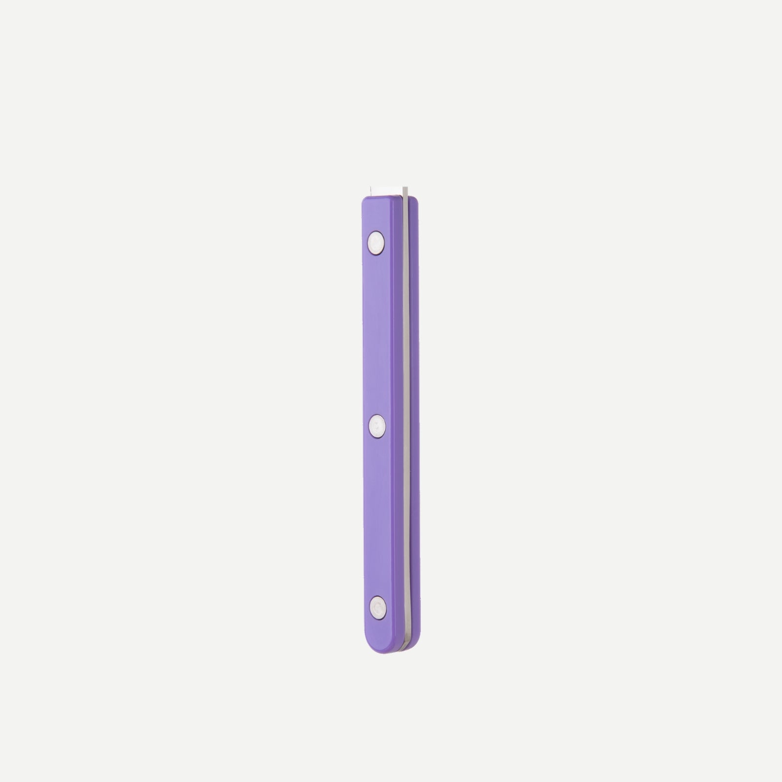 Bistrot Solid, Purple - Dessert spoon